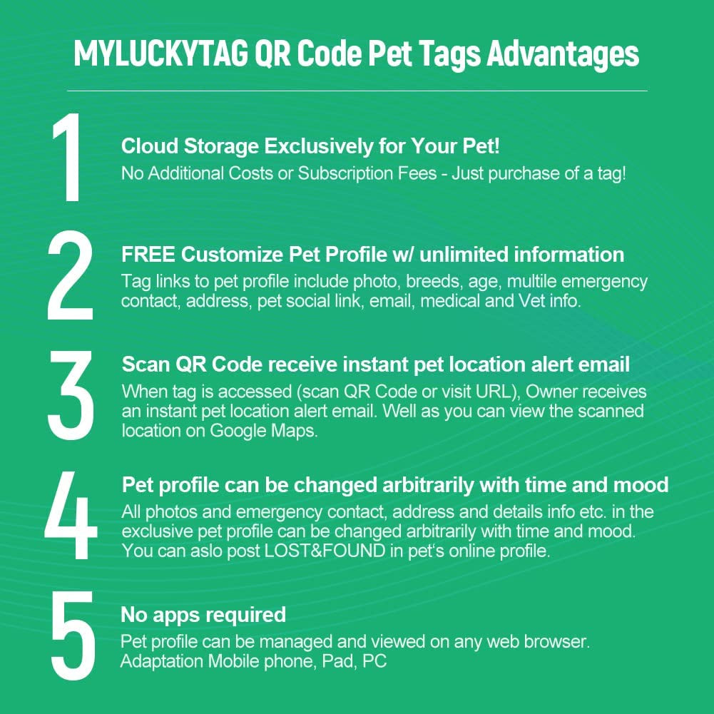 Personalized Stainless Steel QR Code Pet ID Tag